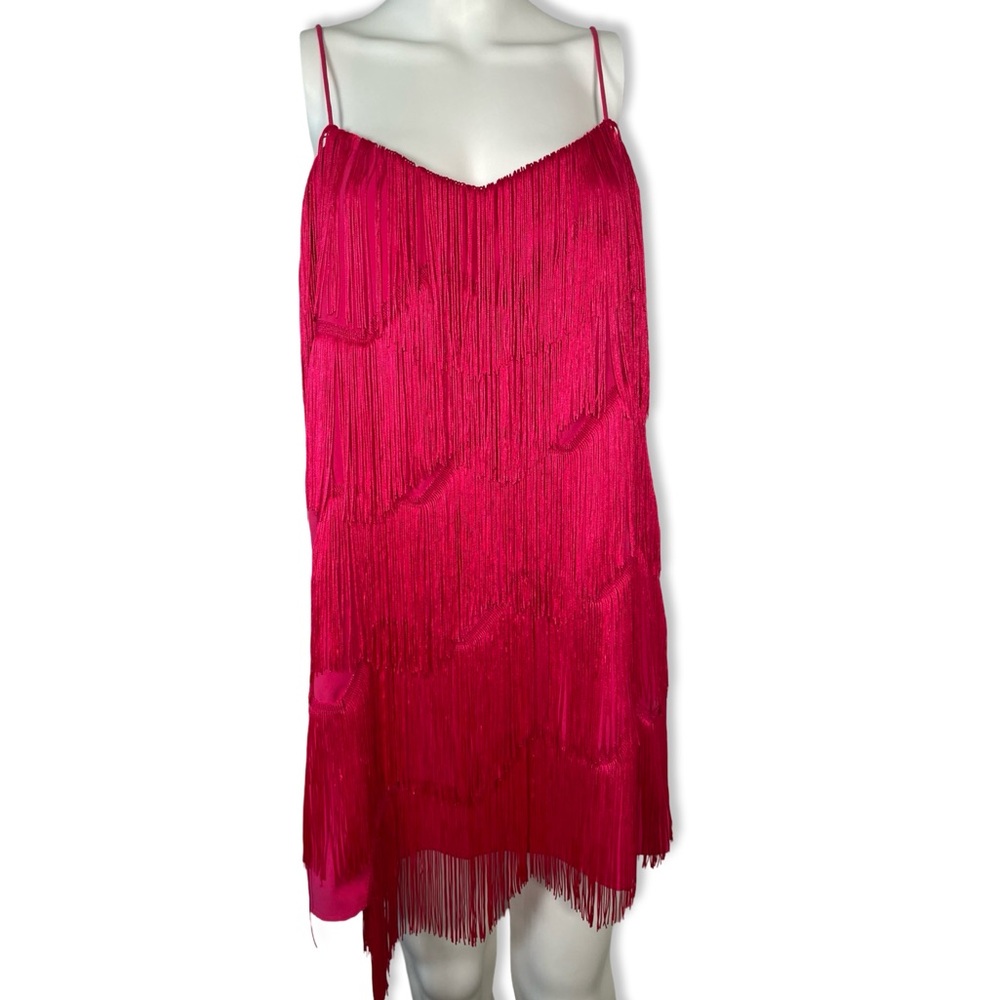 Finders Keepers Hot Pink Fringe Tassel Mini Dress